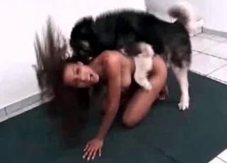 Sweet bestiality with a Husky