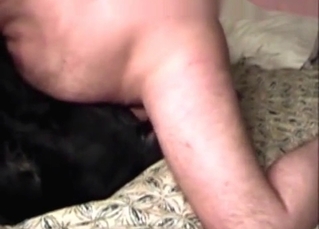 Black dog loves his hard wiener