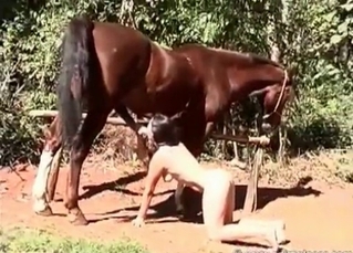 Stallion enjoys her small mouth