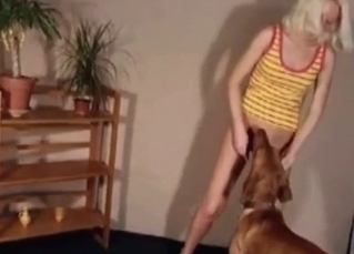 Playful zoofil and her doggy