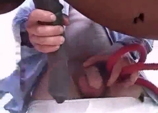 Dirty zoofil sucks a stallion pipe