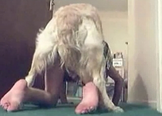 Spicy fast sex with a doggy
