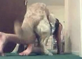 Spicy fast sex with a doggy