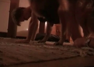Shepherd slowly licks a pussy