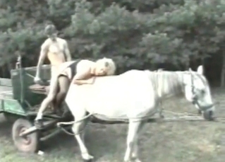 Zoophilic sex on the horse