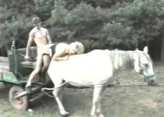 Zoophilic sex on the horse