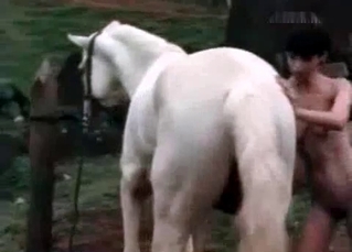 Zoophile a dick of her stallion