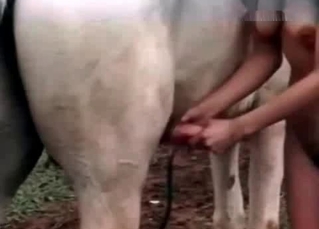 Zoophile a dick of her stallion