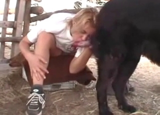 Bleached zoofil blows a hard cock