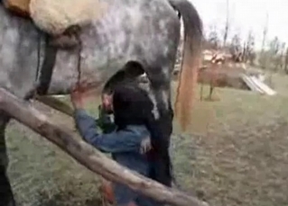 Young girl and horny stallion