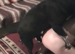 Hungry doggy drills a milf