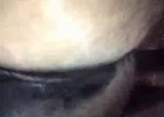 Brown horse fucked in the POV vid