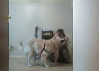 Hairy doggy fucks a slutty musician