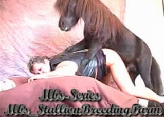 Pony penetrates a dirty zoofil