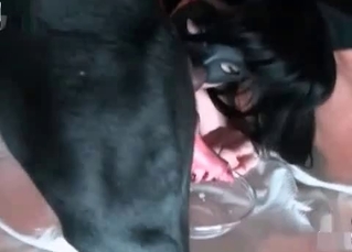 Masked perverted licked by her dog