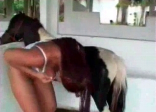 Pony is having a good partner