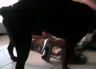 Playful slut enjoys her animal
