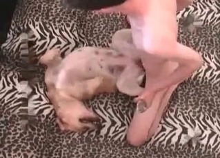 Dude pounding his pet