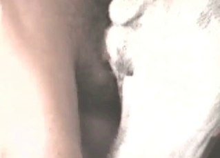 Boy pounding his doggy