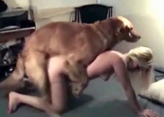 Hound and a blonde