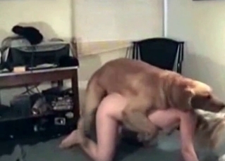 Hound and a blonde