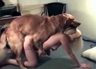 Hound and a blonde