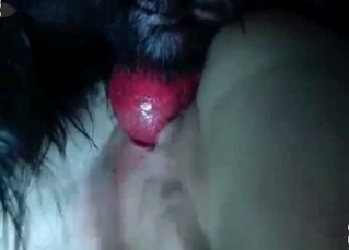 Juicy twat licked by mutt