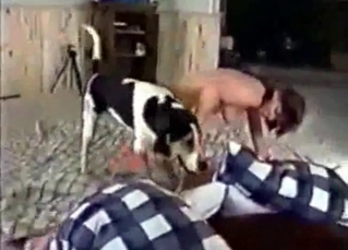 Pooch and its sexy owner