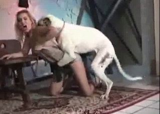 Tyke featured in zoo porn scene