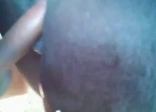 Dude penetrating his pony