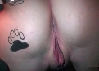 Zoo porn with girl and her pet
