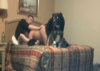 Slut pounded by mongrel