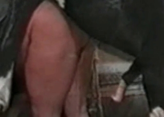 Horse pounding babe