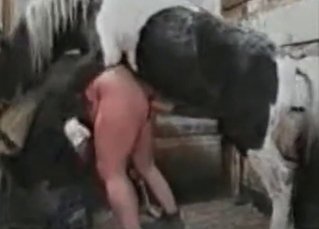 Horse pounding babe