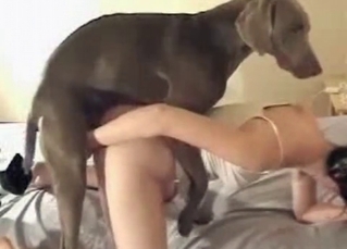 Pounded by a brown mongrel