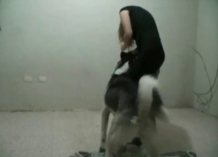 Nasty girl nailed by husky