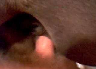 Stud penetrating his doggy