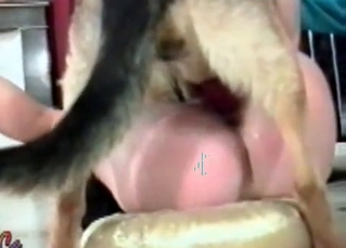 Hound in a zoo porn scene