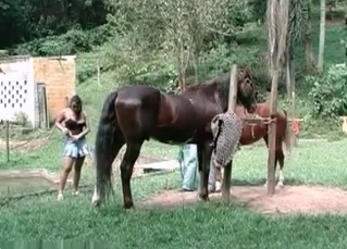 Pony penetrating lady