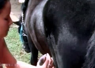 Filly pleased with blowjob