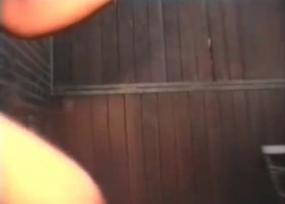 Horse doing blowjob