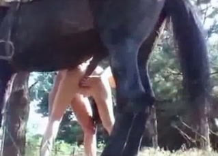 Outdoor fuck with a pony