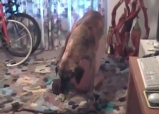 Homemade animal porn video