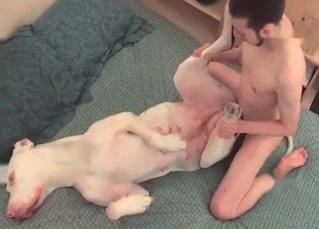 White pup with a guy