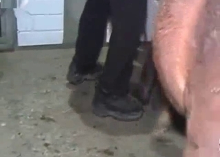 Petite pony with a hard cock