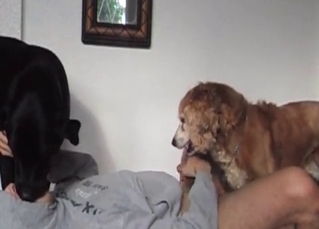 Kinky doggy and dirty bitch