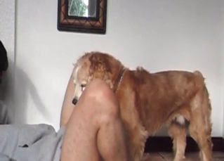 Kinky doggy and dirty bitch