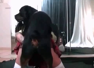 Sweet intensive sex with a dog