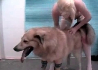 Hungry dog and hot zoophiles