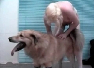 Hungry dog and hot zoophiles